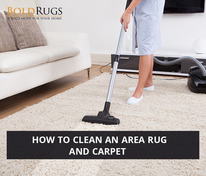 Tips to Keep Carpet, Area Rugs, and Upholstery Clean — That Bald Chick®