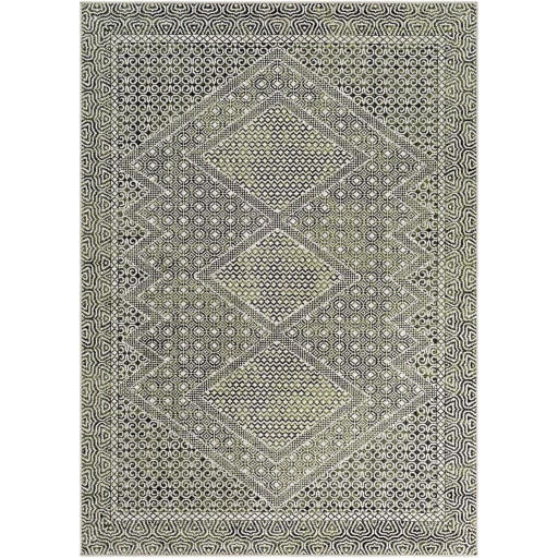 Surya Lavadora LVR-2342 Area Rug, 6'7 x 9