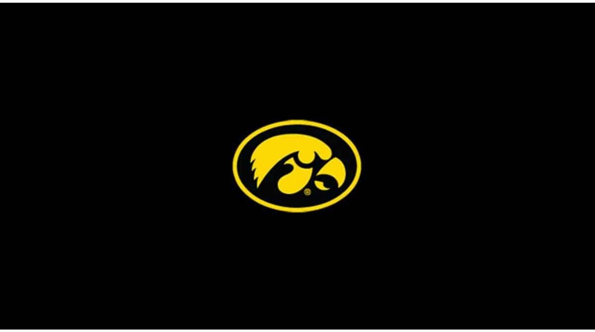 COLLEGE UNIVERSITY OF IOWA 8' POOL TABLE CLOTH 52-4018