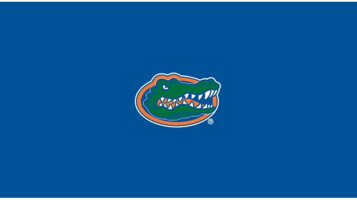 COLLEGE UNIVERSITY OF FLORIDA 8' POOL TABLE CLOTH 52-4026