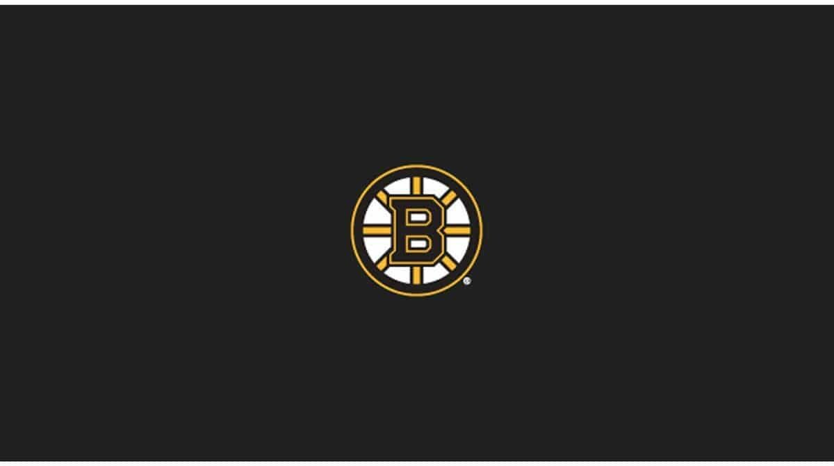 NHL BOSTON BRUINS 8' BILLIARD CLOTH 52-5001