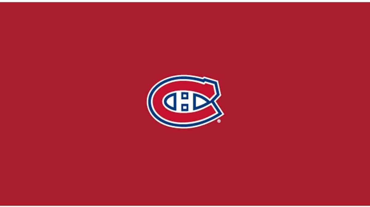 NHL MONTREAL CANADIENS 8' BILLIARD CLOTH 52-5009