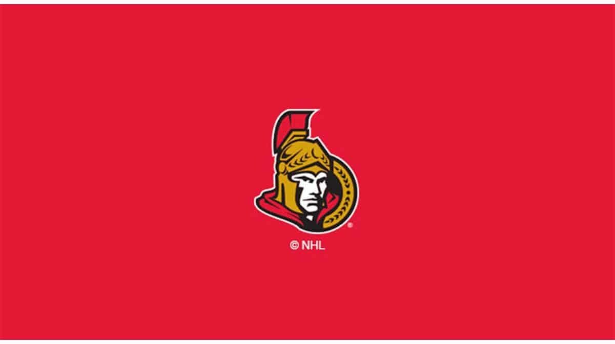 NHL OTTAWA SENATORS 8' BILLIARD CLOTH 52-5012