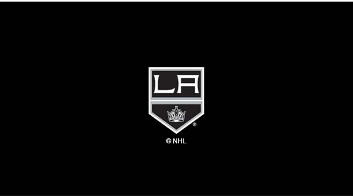 NHL LOS ANGELES KINGS 8' BILLIARD CLOTH 52-5022