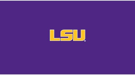 COLLEGE LOUISIANA STATE UNIVERSITY 8' POOL TABLE CLOTH 52-4005