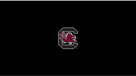 COLLEGE UNIVERSITY OF SOUTH CAROLINA 8' POOL TABLE CLOTH 52-4036