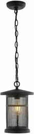 OSPREY 8" OUTDOOR PENDANT