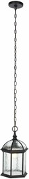 FALYN 10" OUTDOOR PENDANT