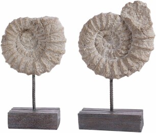 TOREN SET OF 2 CONCH SHELL TAB